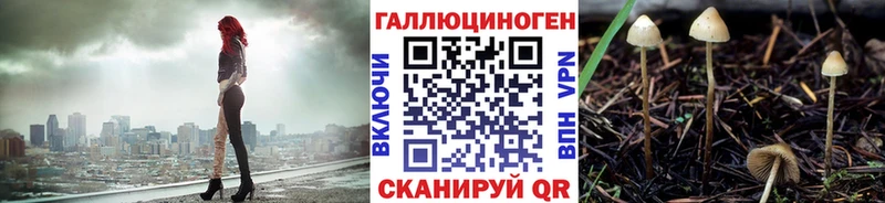 где купить   Орёл  Псилоцибиновые грибы GOLDEN TEACHER 
